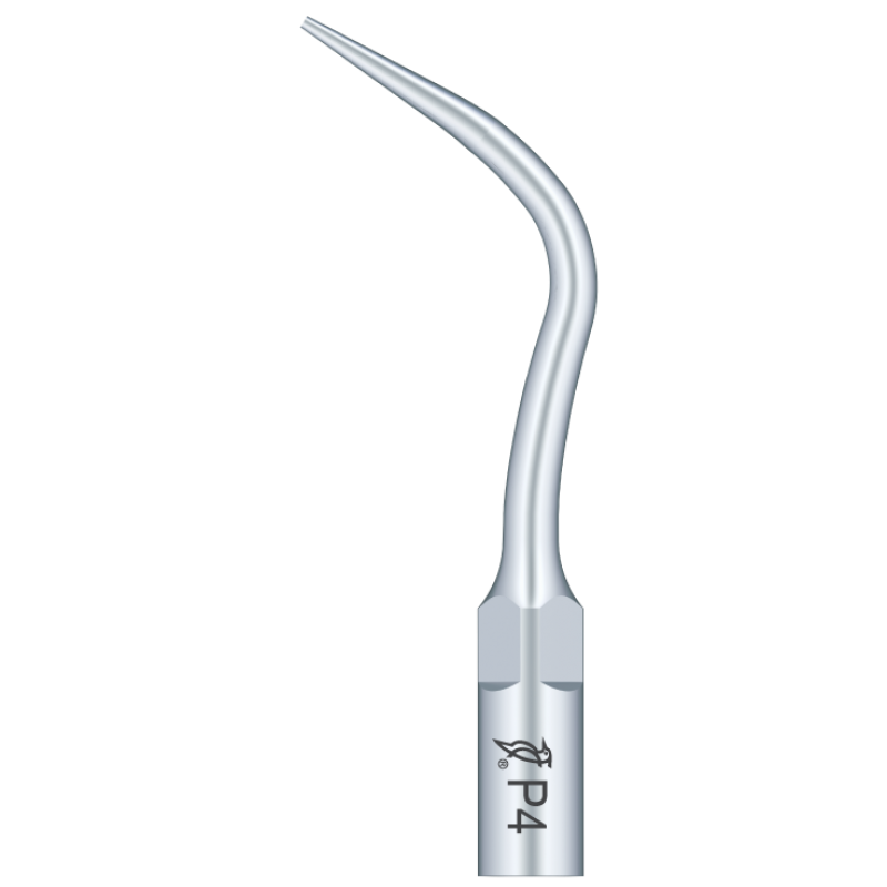 Ansa periodontica P4 - Tehnical Dent